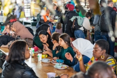 BRUSSELS 2030 - MOLENFEST